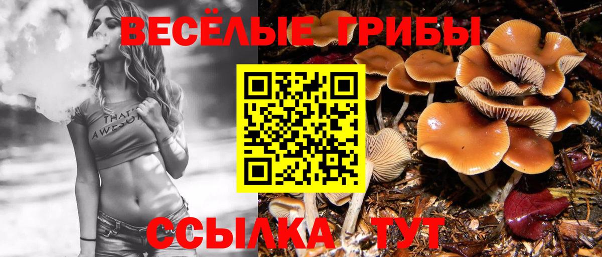 Галлюциногенные грибы Cubensis Красноуфимск