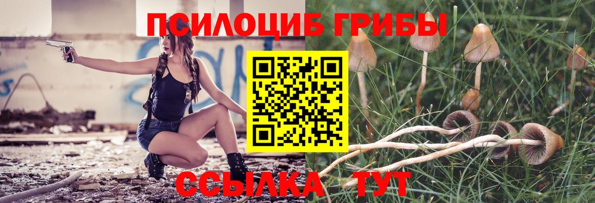Псилоцибиновые грибы прущие грибы  Вход с VPN  где купить наркоту  Красноуфимск 